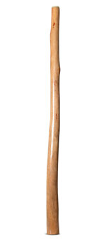Natural Finish Didgeridoo (TW1789)